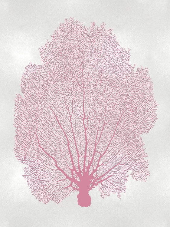 Picture of SEA FAN PINK BLUSH II