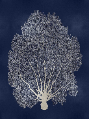 Picture of SEA FAN SILVER ON BLUE II