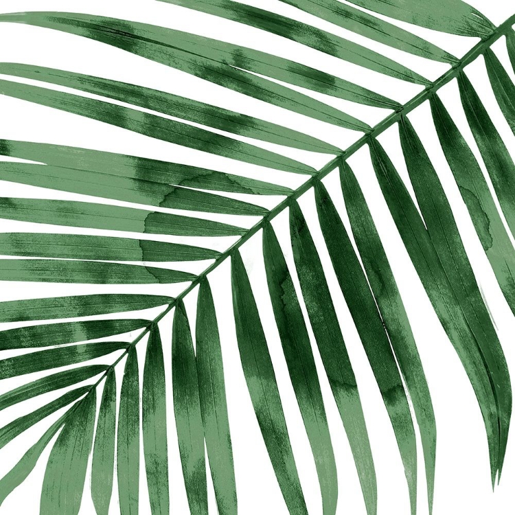 Picture of TROPICAL GREEN PALM I