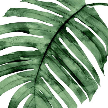 Picture of TROPICAL GREEN PALM II