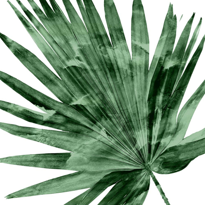 Picture of TROPICAL GREEN PALM IV