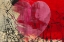 Picture of HEARTFELT I