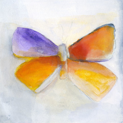 Picture of BUTTERFLY IV