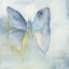 Picture of BUTTERFLY V