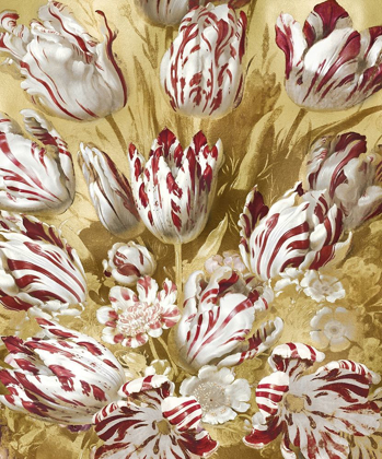 Picture of TULIP BOUQUET IN RED