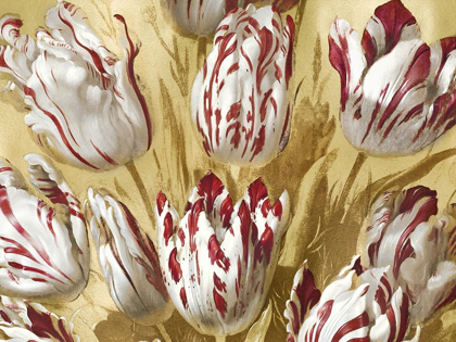 Picture of TULIPS ON GOLD II