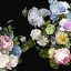 Picture of SPLENDID II