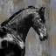 Picture of BLACK STALLION