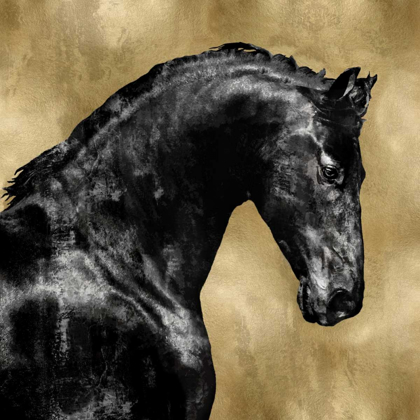 Picture of BLACK STALLION ON GOLD