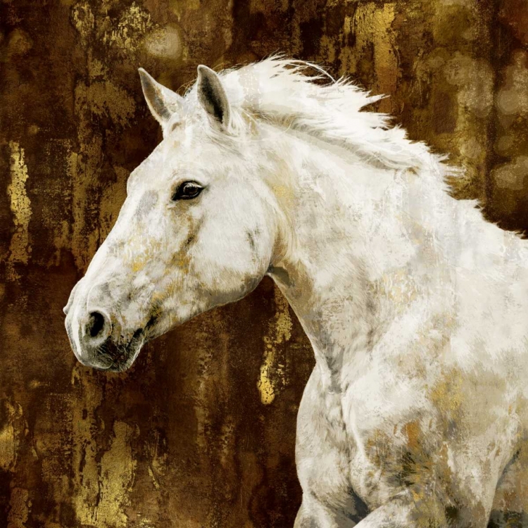 Picture of WHITE STALLION