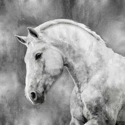 Picture of WHITE STALLION ON SILVER
