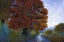 Picture of SUMMER BROOK I