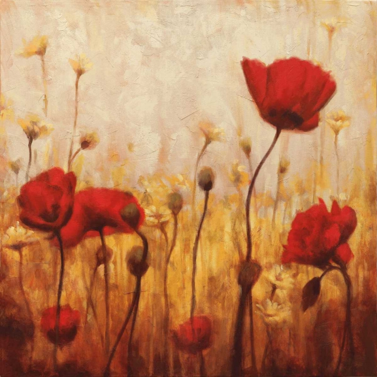 Picture of POPPIES AND DAISIES II