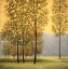 Picture of MISTY MORNING II