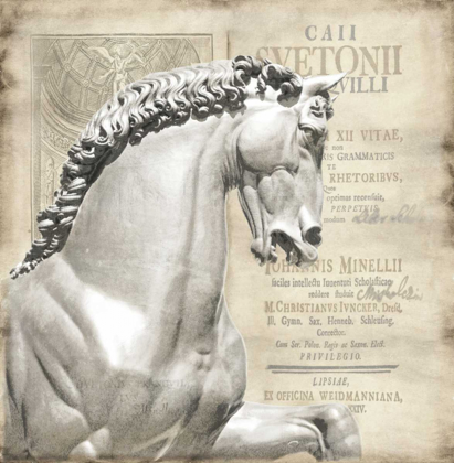 Picture of RENAISSANCE IV