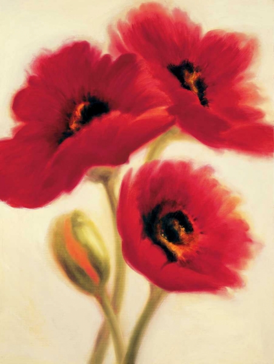 Picture of RED POPPIES