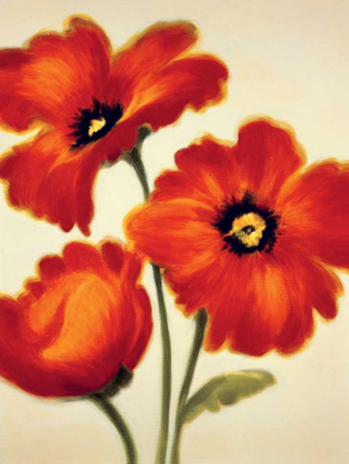 Picture of ORANGE POPPIES