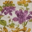 Picture of FULL BLOOM I