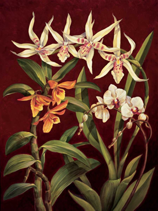Picture of ORCHID TRIO I