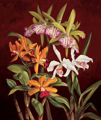 Picture of ORCHID TRIO II
