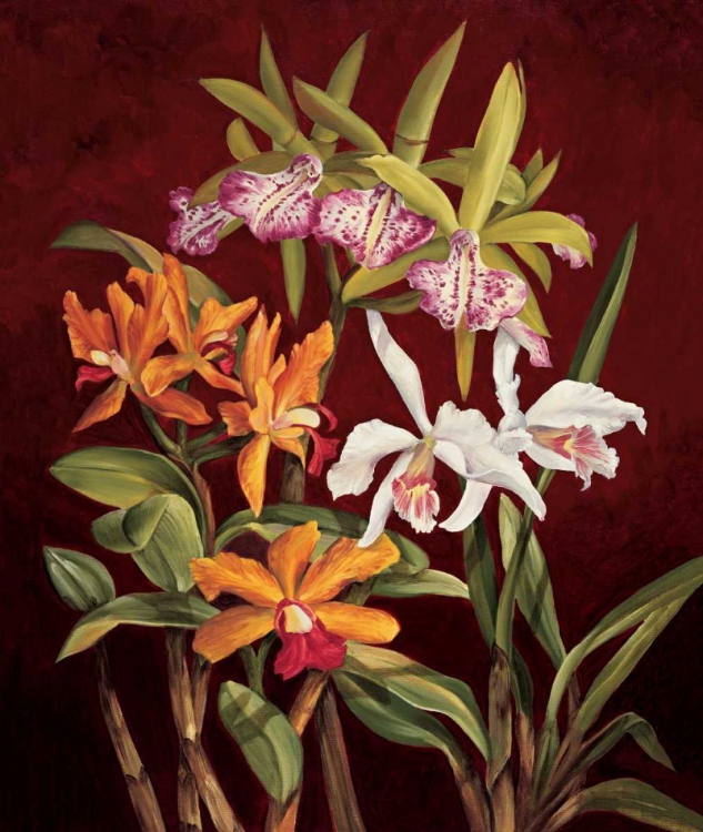 Picture of ORCHID TRIO II