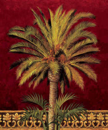 Picture of CANARY PALM