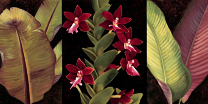 Picture of RED ORCHIDS AND PALM LEAVES