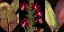 Picture of RED ORCHIDS AND PALM LEAVES