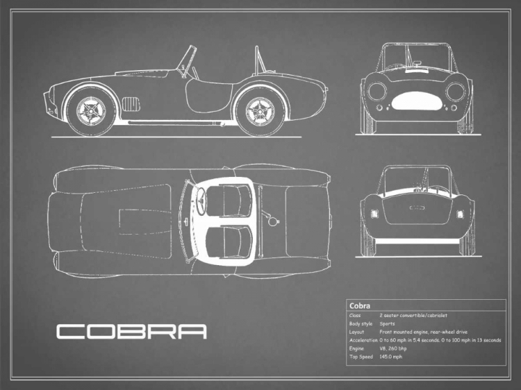 Picture of COBRA-GREY