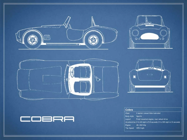 Picture of COBRA-BLUE