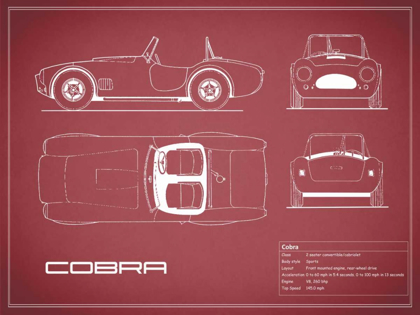 Picture of COBRA-MAROON