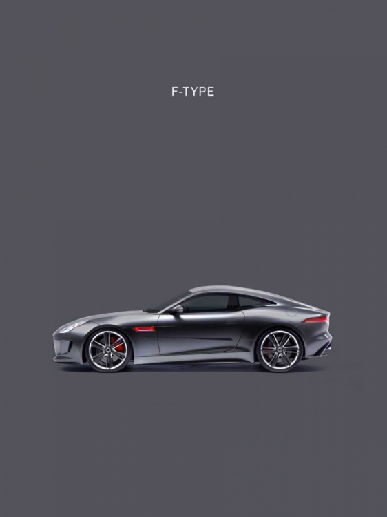 Picture of JAGUAR F-TYPE GREY