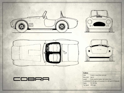 Picture of AC COBRA WHITE