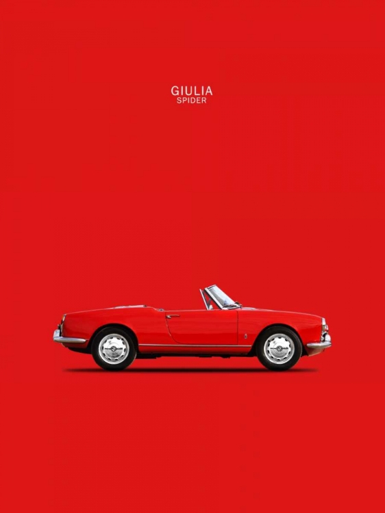 Picture of ALFA ROMEO GIULIA SPIDER 1964