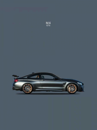 Picture of BMW M4 GTS