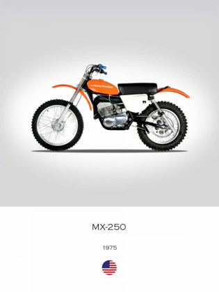 Picture of HARLEY DAVIDSON MX 250 1975
