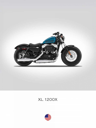 Picture of HARLEY DAVIDSON XL 1200X FORTY