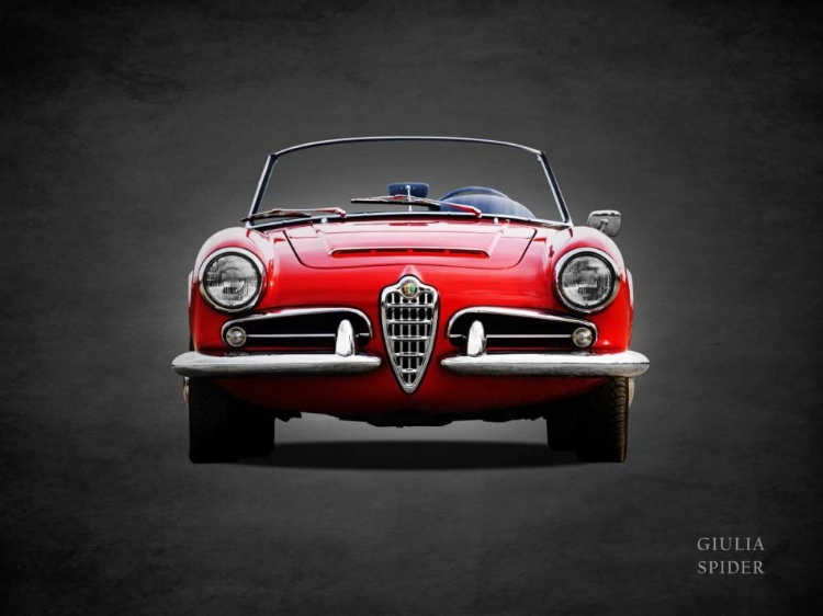 Picture of ALFA GIULIA 1600 SPIDER 1964