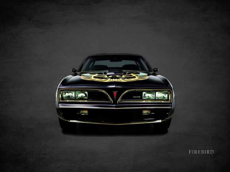 Picture of PONTIAC FIREBIRD TRANSAM 1978