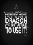 Picture of SHREK IVE GOT A DRAGON