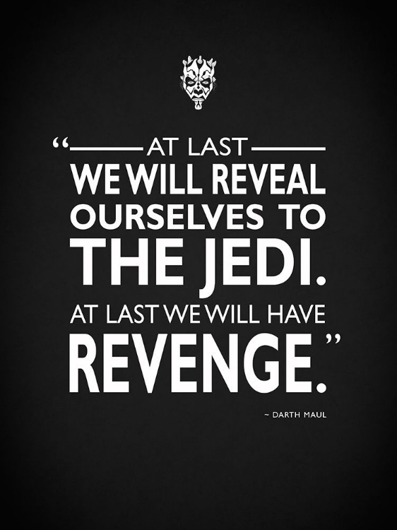 Picture of STAR WARS DARTH MAUL REVENGE