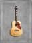 Picture of GIBSON DOVE 1960