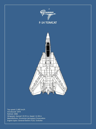 Picture of BP F-14-TOMCAT 