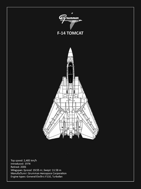 Picture of BP F-14-TOMCAT BLACK 