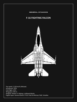 Picture of BP F-16 FIGHTING FALCON BLACK 