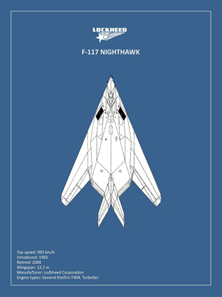 Picture of BP LOCKHEED F22 RAPTOR 