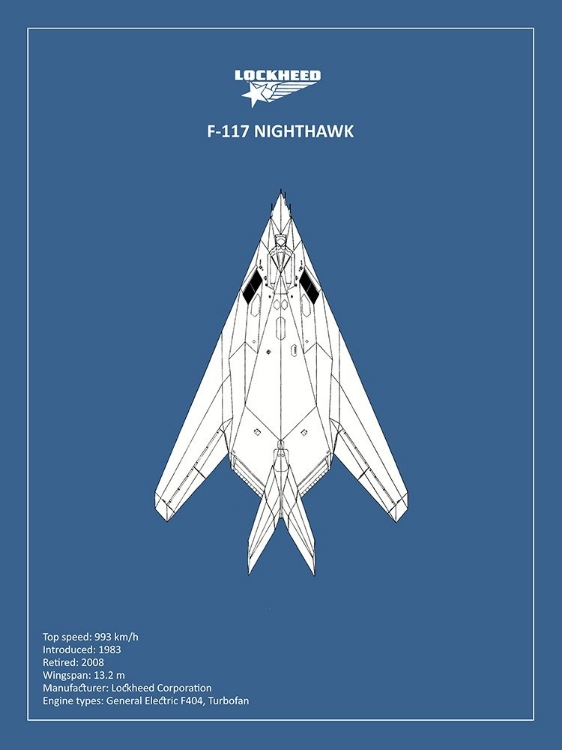 Picture of BP LOCKHEED F22 RAPTOR 