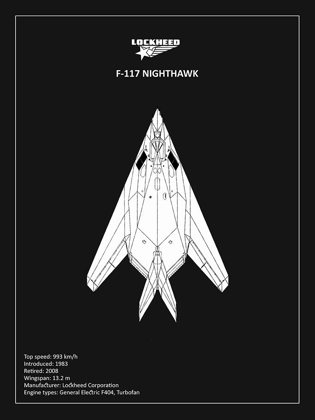 Picture of BP LOCKHEED F22 RAPTOR BLACK 