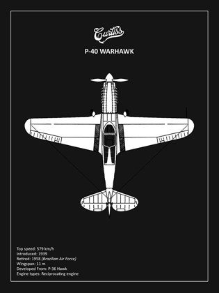 Picture of BP P-40 WARHAWK BLACK 