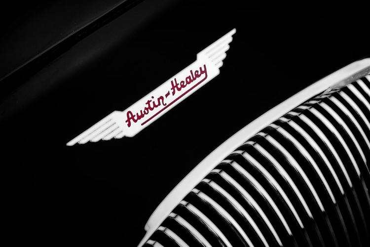 Picture of AUSTIN-HEALEY 100 DETAIL